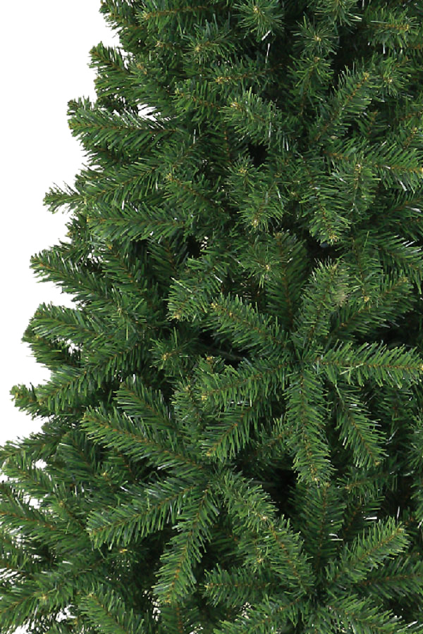 150cm�A�X�y���t�@�[�c���[